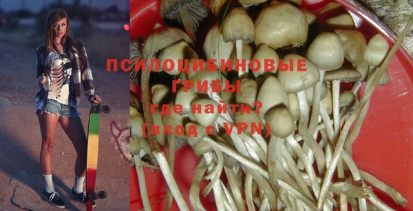 дмт Алексеевка