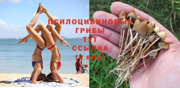 дмт Алексеевка
