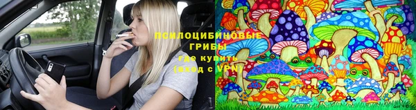 сатива Алзамай
