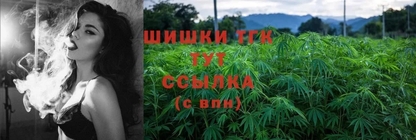 мет Алексин
