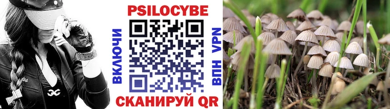 где найти наркотики  Кола  Галлюциногенные грибы прущие грибы 